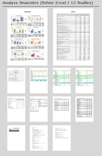 Analyse Financière - Feuille de calcul